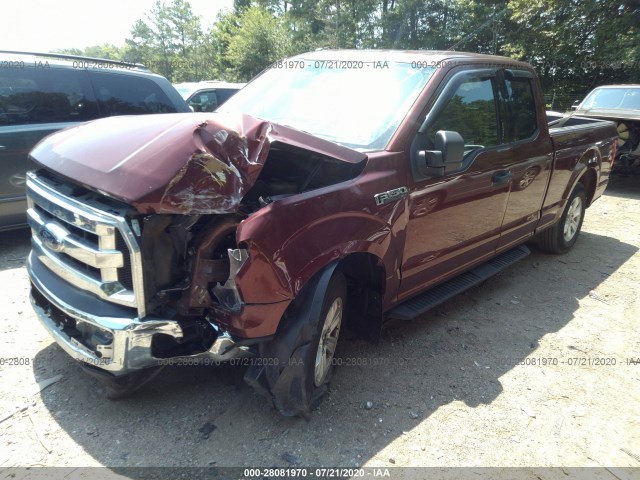 Photo 1 VIN: 1FTEX1C89FKF13303 - FORD F-150 