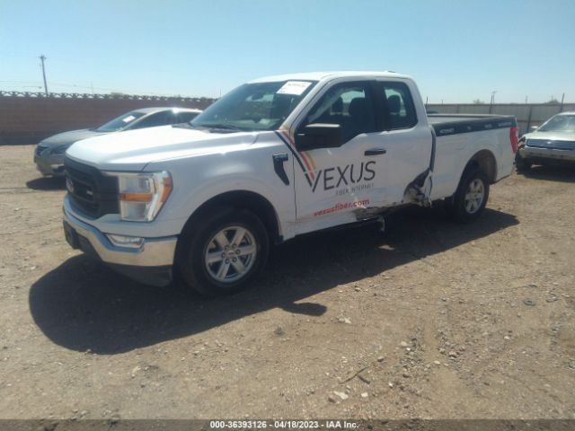 Photo 1 VIN: 1FTEX1CB2MKD91201 - FORD F-150 