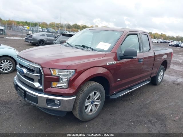 Photo 1 VIN: 1FTEX1CG5FFD05841 - FORD F-150 