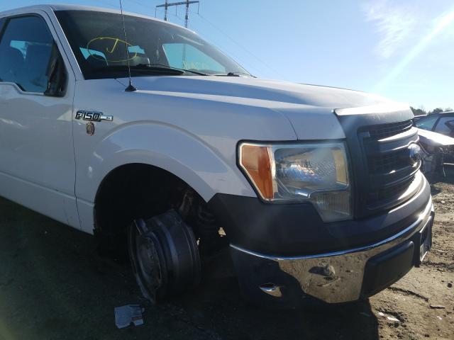 Photo 8 VIN: 1FTEX1CM0DFB23936 - FORD F150 SUPER 