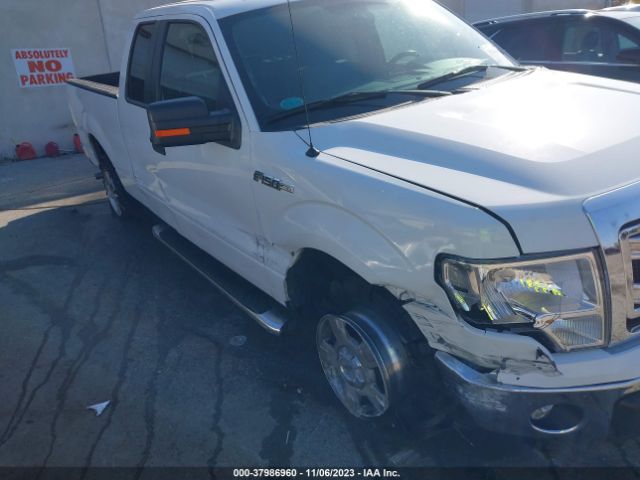 Photo 5 VIN: 1FTEX1CM0DFD38619 - FORD F150 