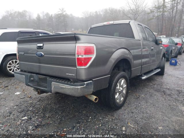 Photo 3 VIN: 1FTEX1CM0EFB73902 - FORD F-150 