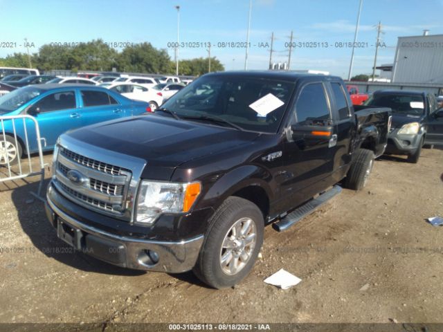 Photo 1 VIN: 1FTEX1CM1DFA73449 - FORD F-150 