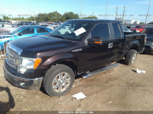 Photo 5 VIN: 1FTEX1CM1DFA73449 - FORD F-150 