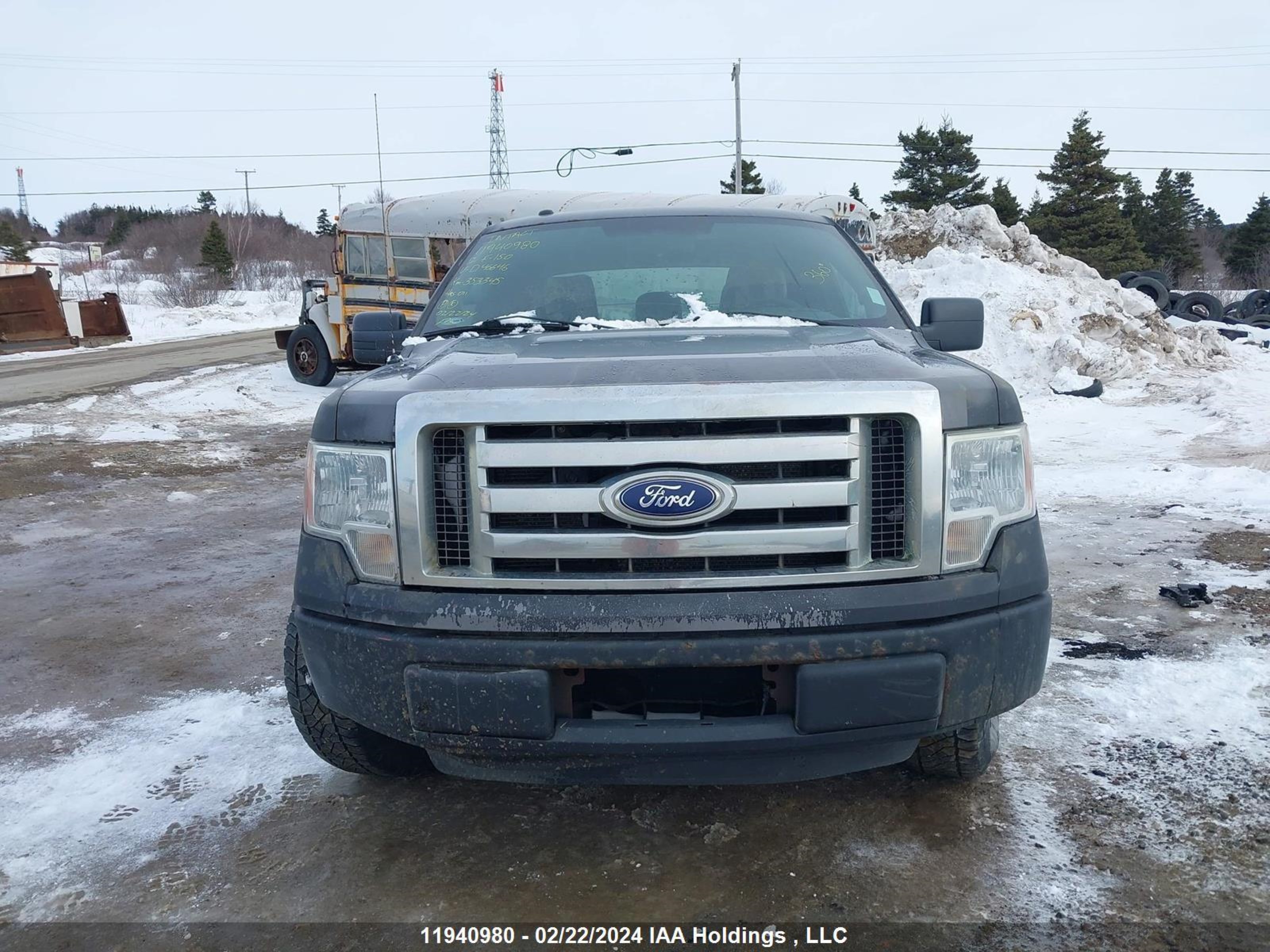 Photo 11 VIN: 1FTEX1CM2CKD46646 - FORD F-150 