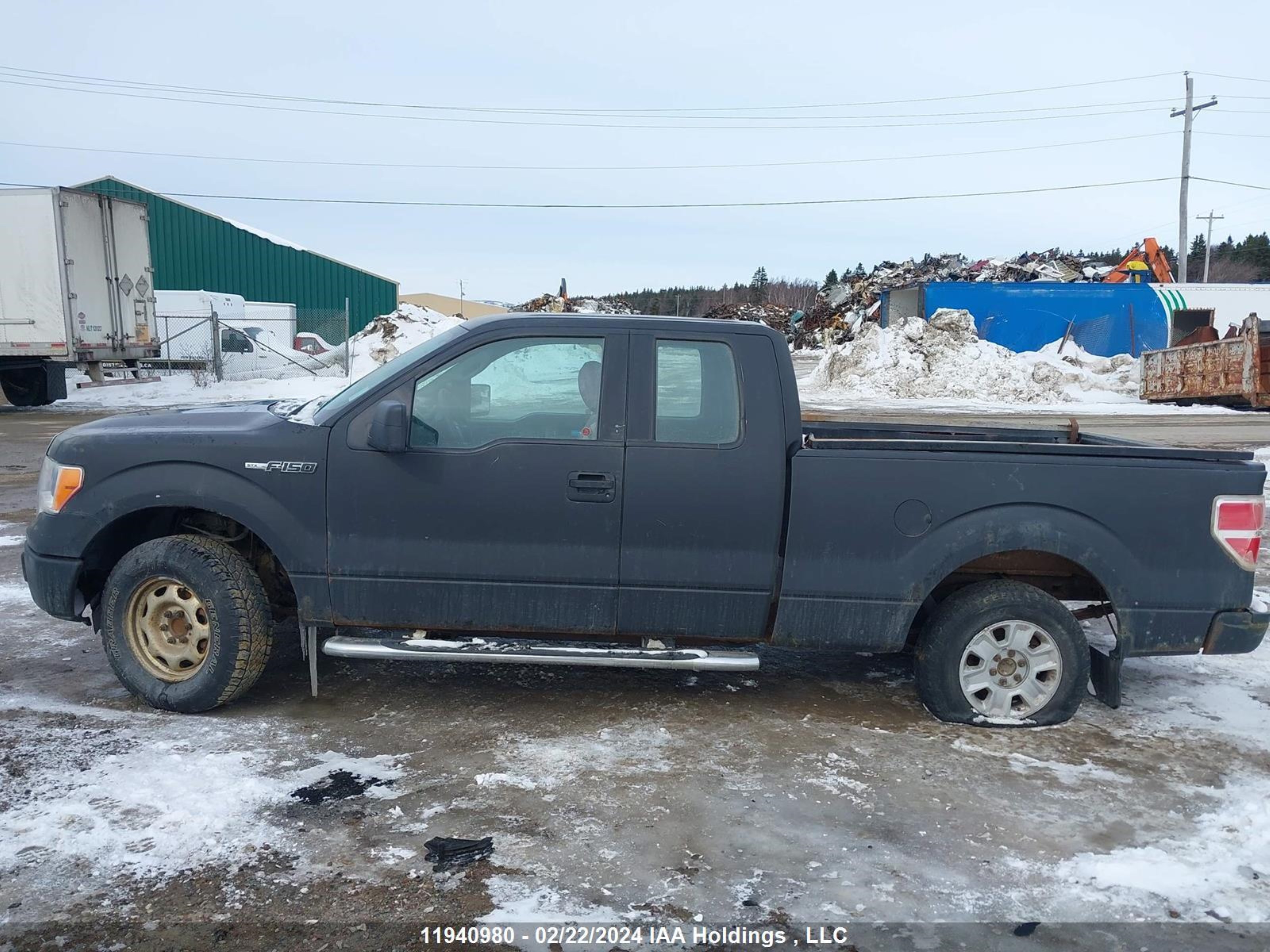 Photo 13 VIN: 1FTEX1CM2CKD46646 - FORD F-150 