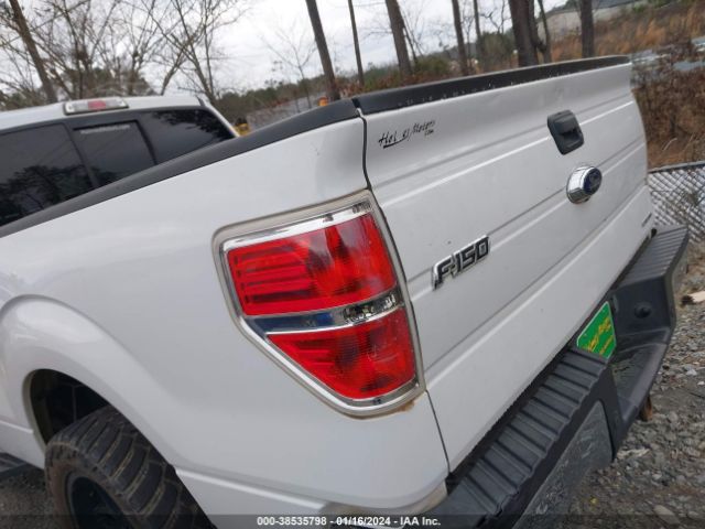 Photo 5 VIN: 1FTEX1CM2EFC16703 - FORD F-150 