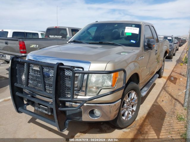 Photo 1 VIN: 1FTEX1CM3DFB02031 - FORD F150 