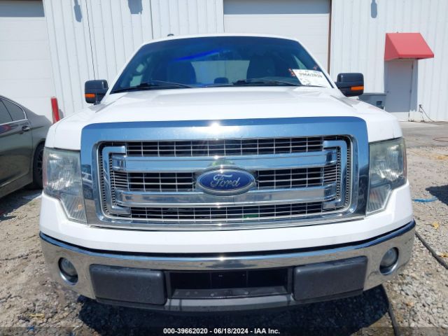 Photo 5 VIN: 1FTEX1CM7EFC17443 - FORD F-150 