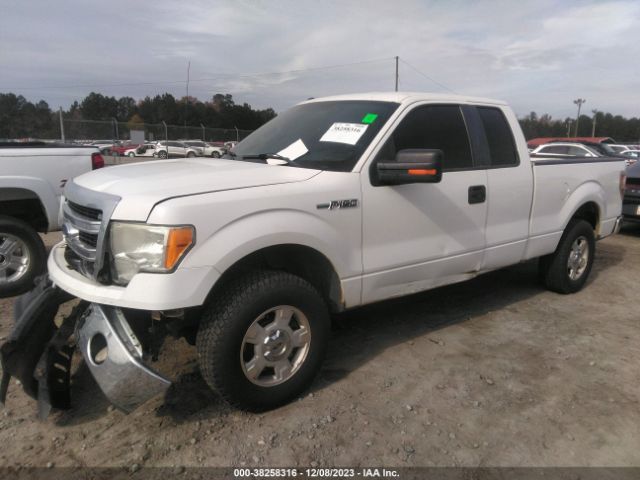 Photo 1 VIN: 1FTEX1CM8EFA40790 - FORD F-150 