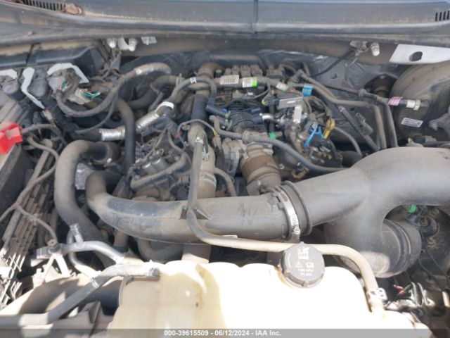 Photo 9 VIN: 1FTEX1CP3LKE23115 - FORD F-150 