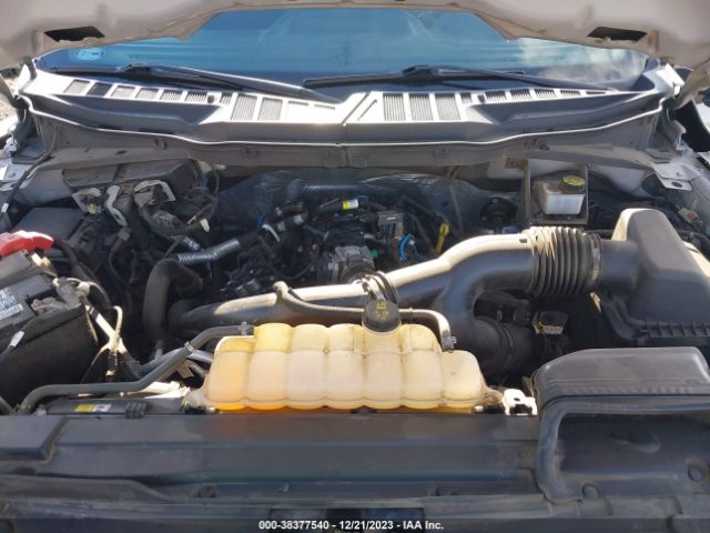 Photo 9 VIN: 1FTEX1CPXMKE22187 - FORD F-150 