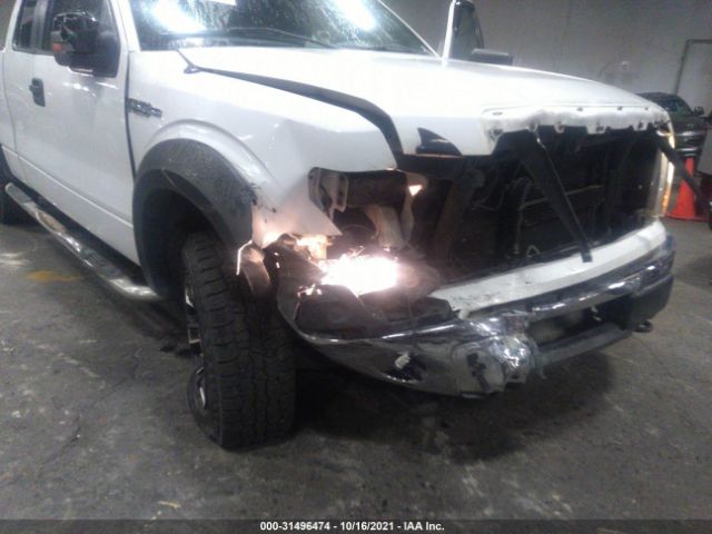 Photo 5 VIN: 1FTEX1E81AFB20491 - FORD F-150 