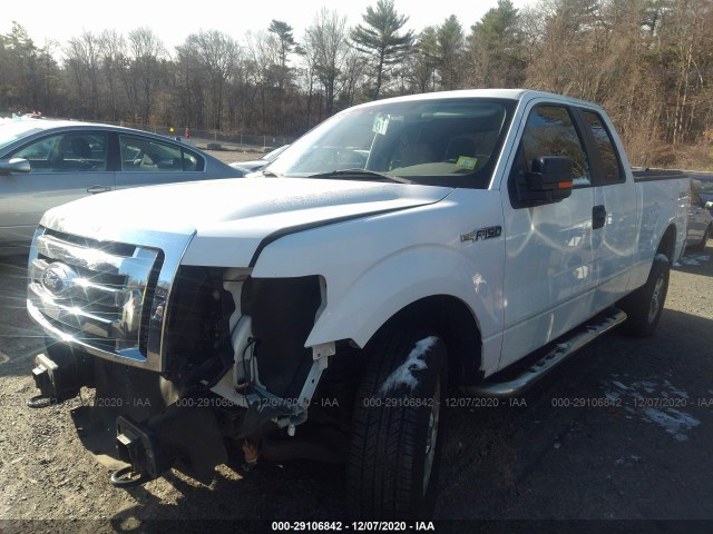 Photo 1 VIN: 1FTEX1E81AFD21985 - FORD F-150 