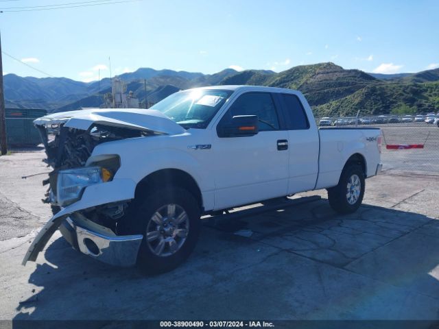 Photo 1 VIN: 1FTEX1E82AKE71739 - FORD F-150 