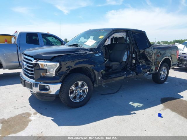 Photo 1 VIN: 1FTEX1E83FFB18362 - FORD F-150 