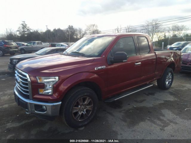 Photo 1 VIN: 1FTEX1E84GFB08859 - FORD F-150 