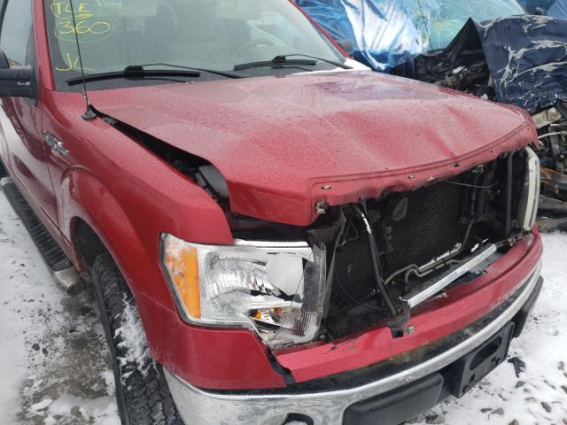 Photo 8 VIN: 1FTEX1E86AFC99255 - FORD F150 SUPER 