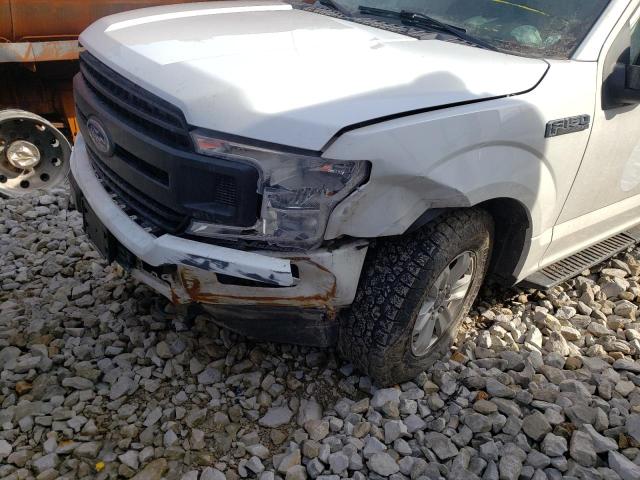 Photo 8 VIN: 1FTEX1EB9LFA61219 - FORD F150 SUPER 