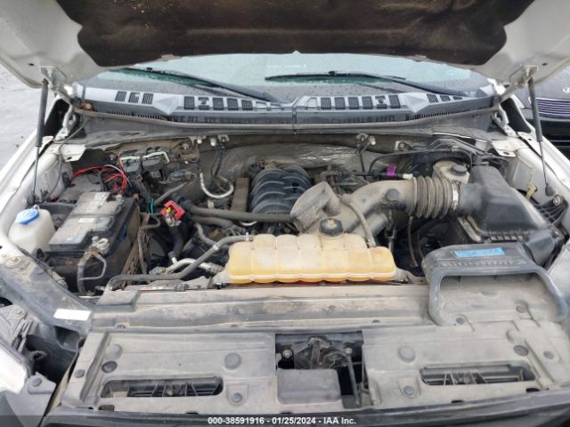 Photo 9 VIN: 1FTEX1EF4GKE50155 - FORD F-150 