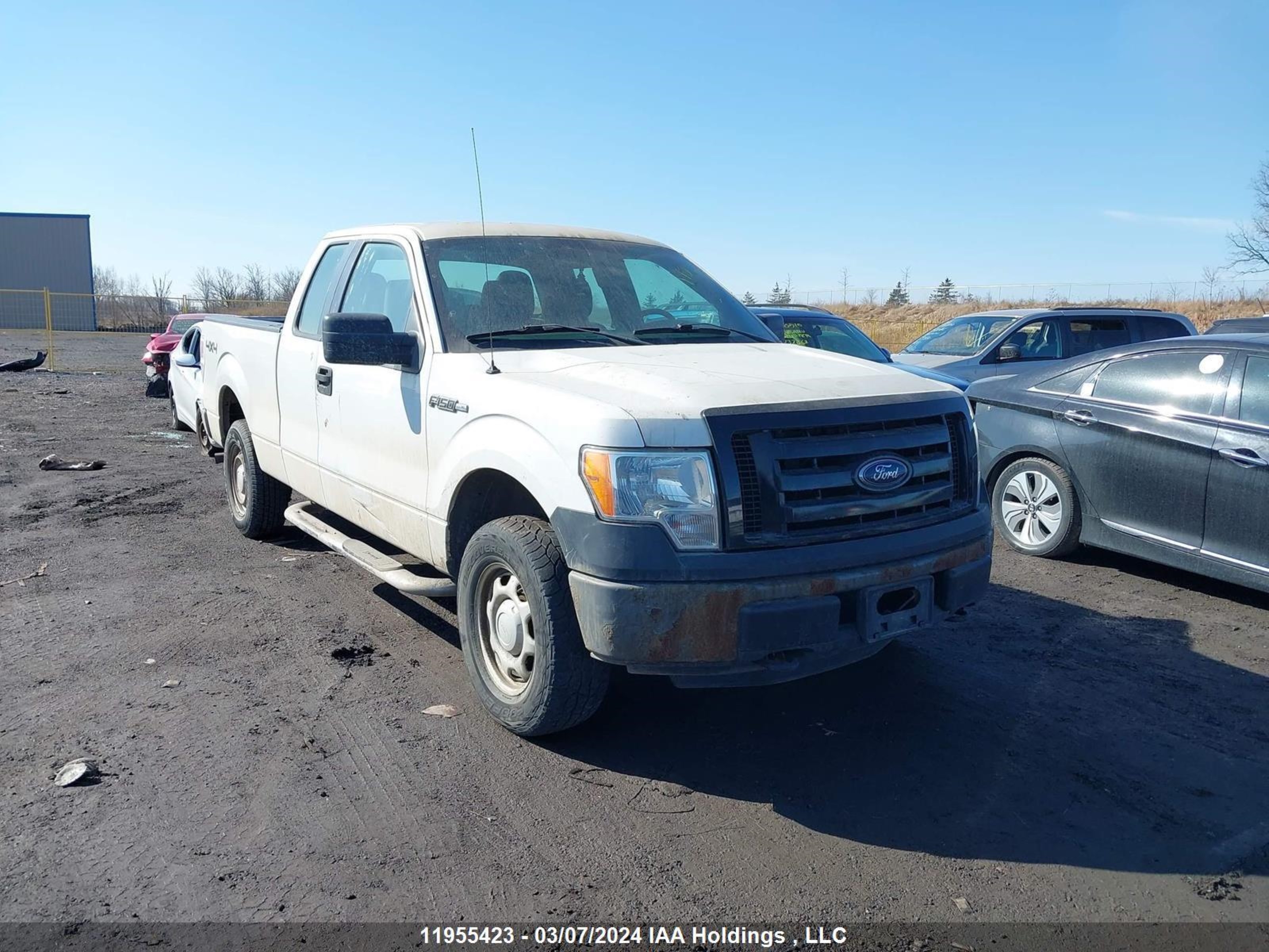 Photo 0 VIN: 1FTEX1EM0CFC42145 - FORD F-150 