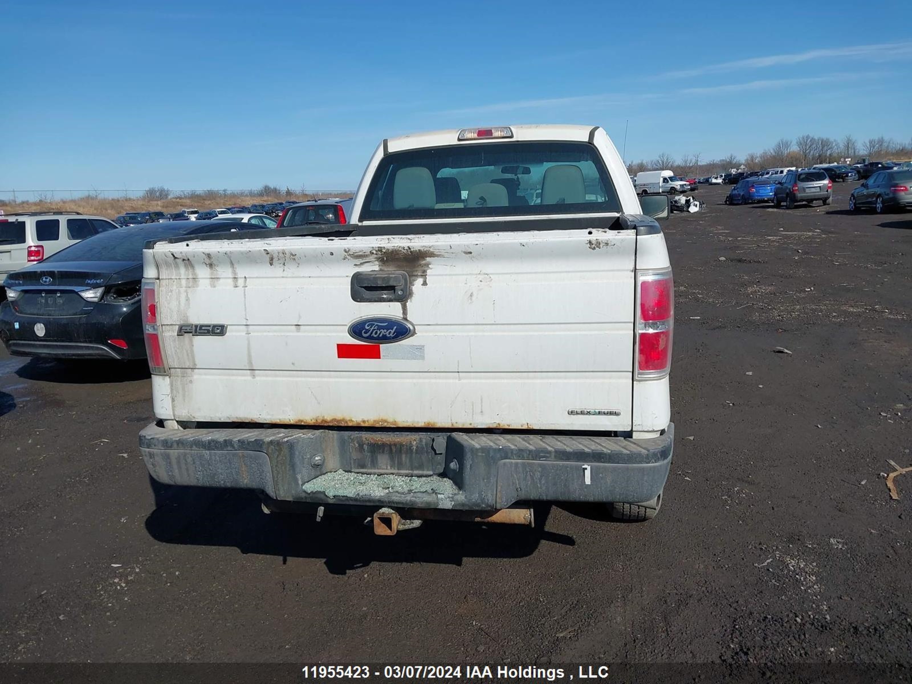 Photo 15 VIN: 1FTEX1EM0CFC42145 - FORD F-150 