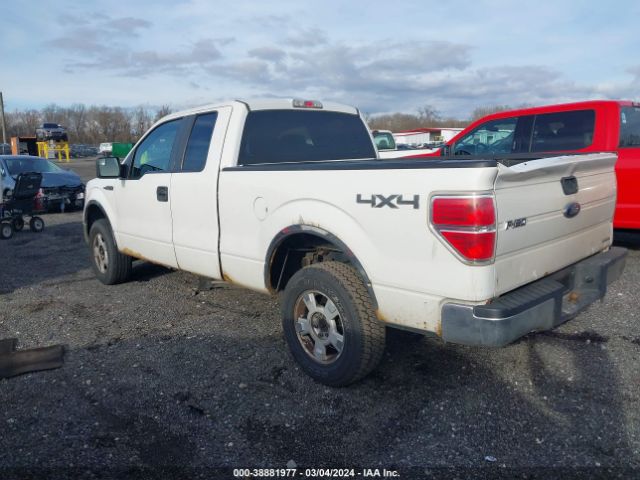 Photo 2 VIN: 1FTEX1EM0EFB88509 - FORD F-150 