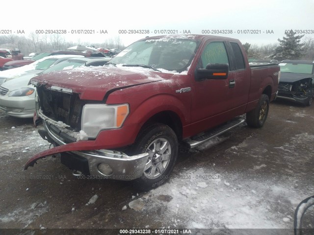 Photo 1 VIN: 1FTEX1EM2DFD78584 - FORD F-150 