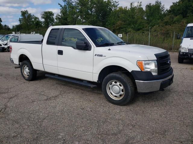 Photo 3 VIN: 1FTEX1EM4DFC35894 - FORD F-150 