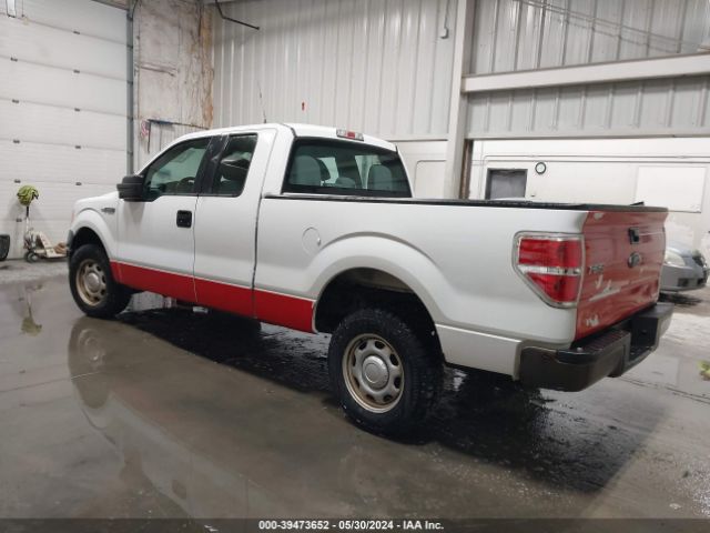 Photo 2 VIN: 1FTEX1EM5DKE41541 - FORD F-150 