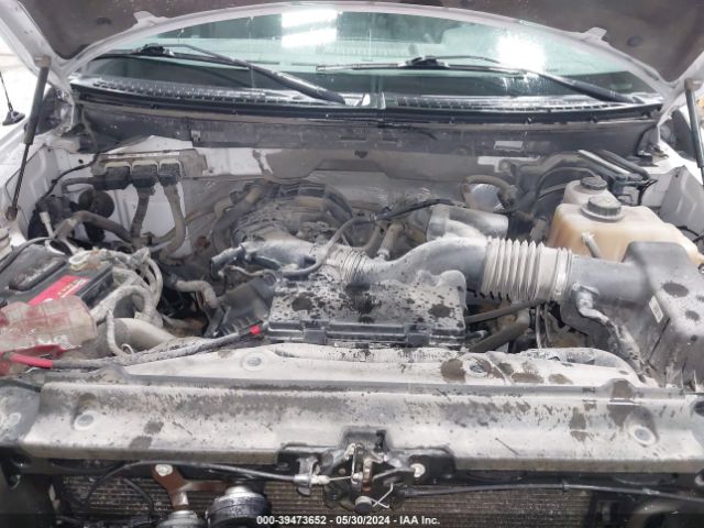 Photo 9 VIN: 1FTEX1EM5DKE41541 - FORD F-150 