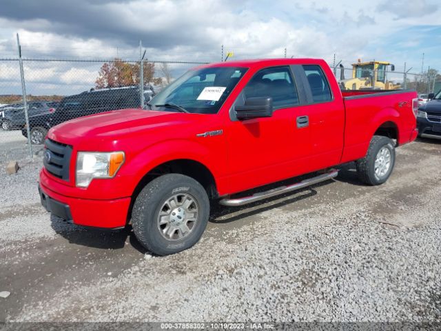 Photo 1 VIN: 1FTEX1EM6BFB88431 - FORD F-150 