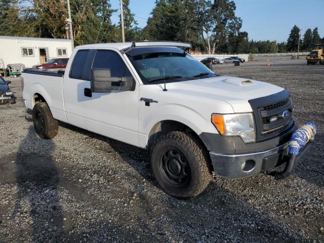 Photo 3 VIN: 1FTEX1EM6DFB67341 - FORD F150 SUPER 