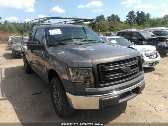 Photo 0 VIN: 1FTEX1EM9DKG11187 - FORD F-150 