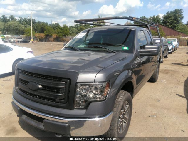 Photo 1 VIN: 1FTEX1EM9DKG11187 - FORD F-150 