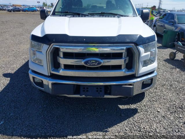 Photo 5 VIN: 1FTEX1EP0GKD97995 - FORD F-150 