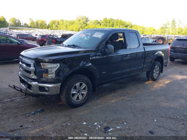 Photo 1 VIN: 1FTEX1EP1FKD54037 - FORD F-150 