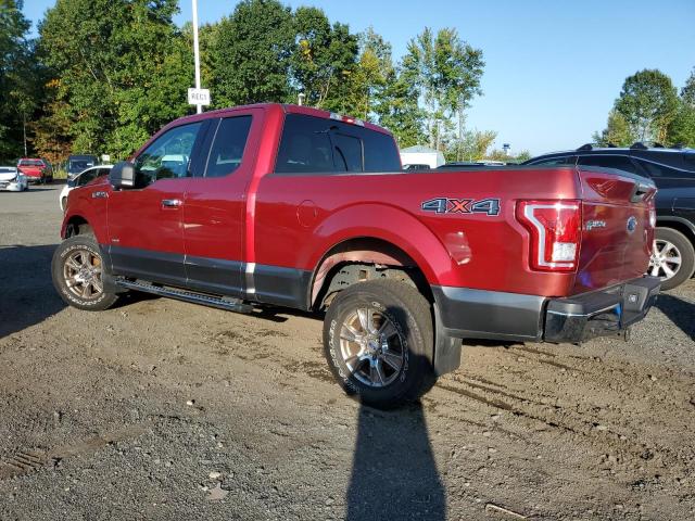 Photo 1 VIN: 1FTEX1EP1GFD08248 - FORD F-150 