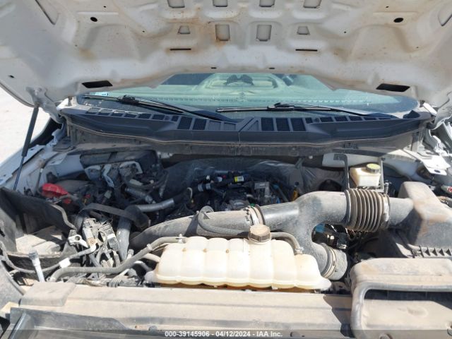 Photo 9 VIN: 1FTEX1EP1MKD20659 - FORD F-150 