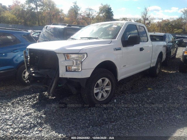 Photo 1 VIN: 1FTEX1EP2HKE54036 - FORD F-150 