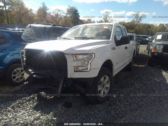 Photo 5 VIN: 1FTEX1EP2HKE54036 - FORD F-150 