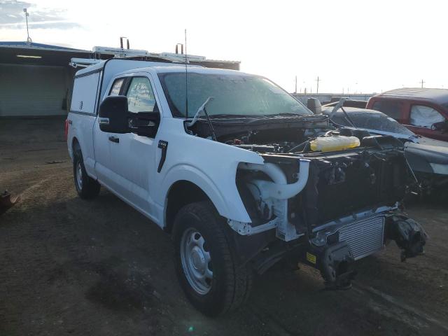 Photo 3 VIN: 1FTEX1EP2MKF02922 - FORD F150 SUPER 