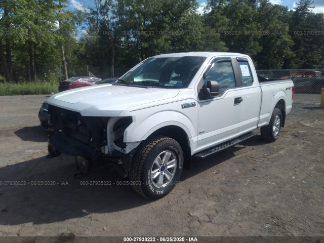 Photo 1 VIN: 1FTEX1EP4GFC44609 - FORD F-150 