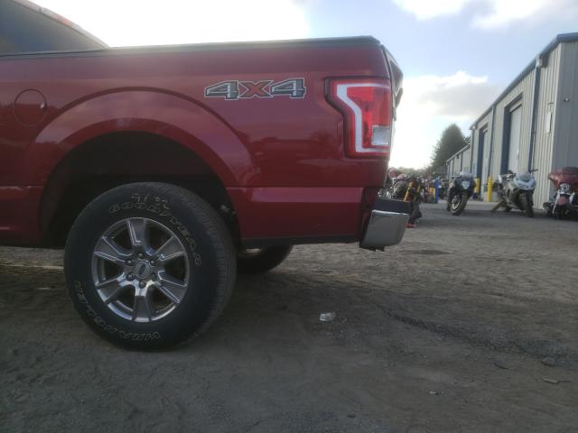 Photo 8 VIN: 1FTEX1EP6GFA51605 - FORD F150 SUPER 