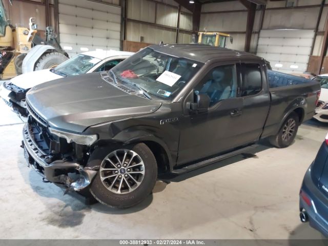 Photo 1 VIN: 1FTEX1EP6KKC81516 - FORD F-150 