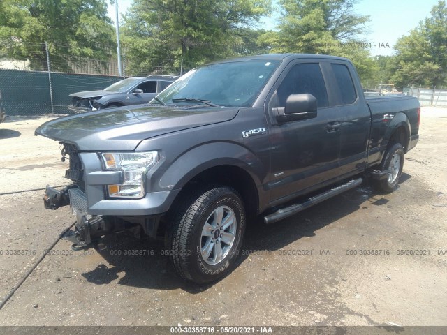 Photo 1 VIN: 1FTEX1EP7FKE95551 - FORD F-150 