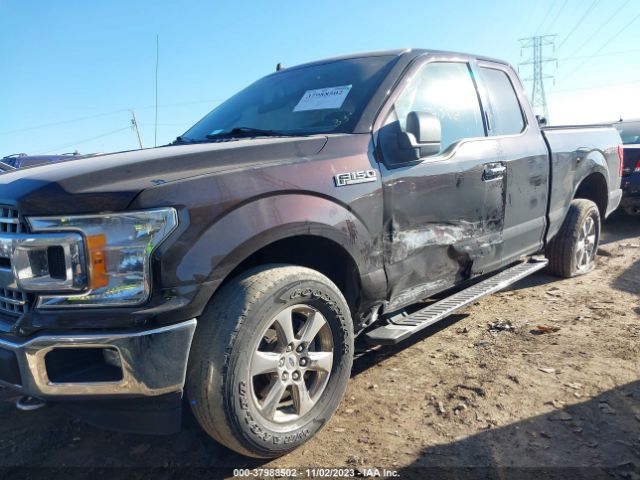 Photo 5 VIN: 1FTEX1EP8KFC18488 - FORD F-150 