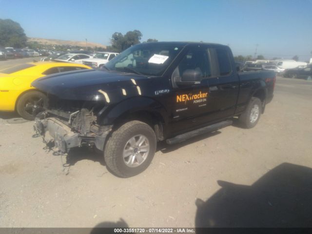 Photo 1 VIN: 1FTEX1EPXFKD43893 - FORD F-150 