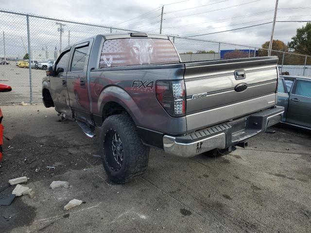 Photo 2 VIN: 1FTFW1CF0DFA79039 - FORD F150 SUPER 