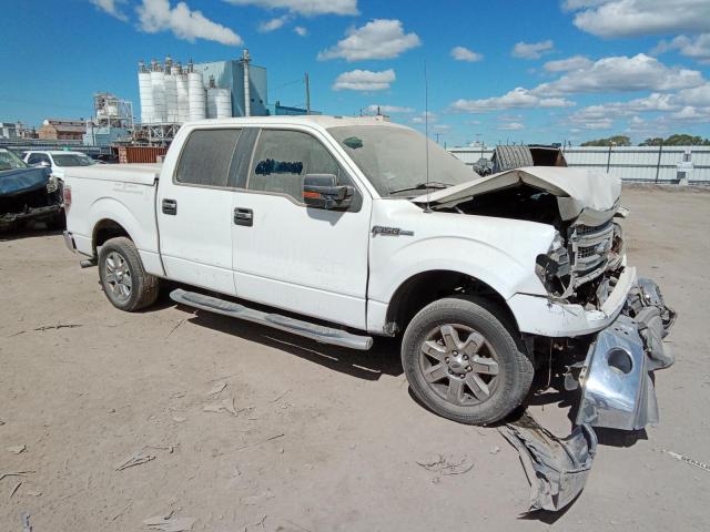 Photo 3 VIN: 1FTFW1CF0DFD64842 - FORD F150 SUPER 